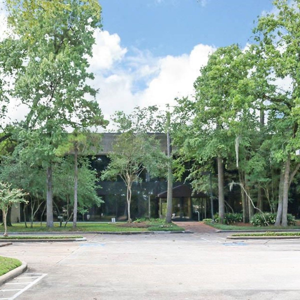 Homepage 44 kingwood office building